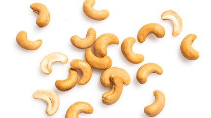 cashew image