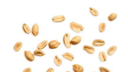 peanuts image